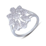 Chaitali pressure ring